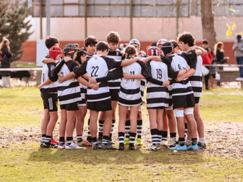 Solidaridad y Disciplina