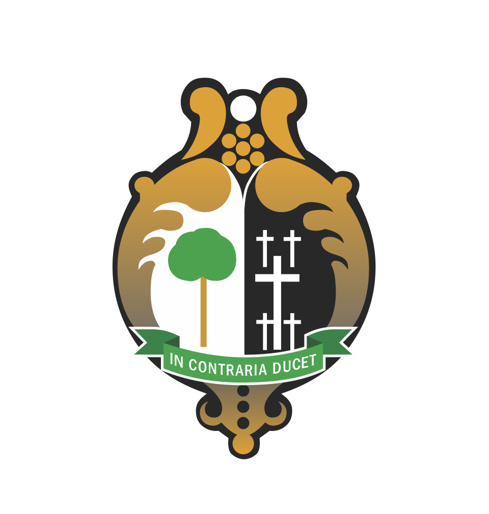 C.R. El Salvador Emerging